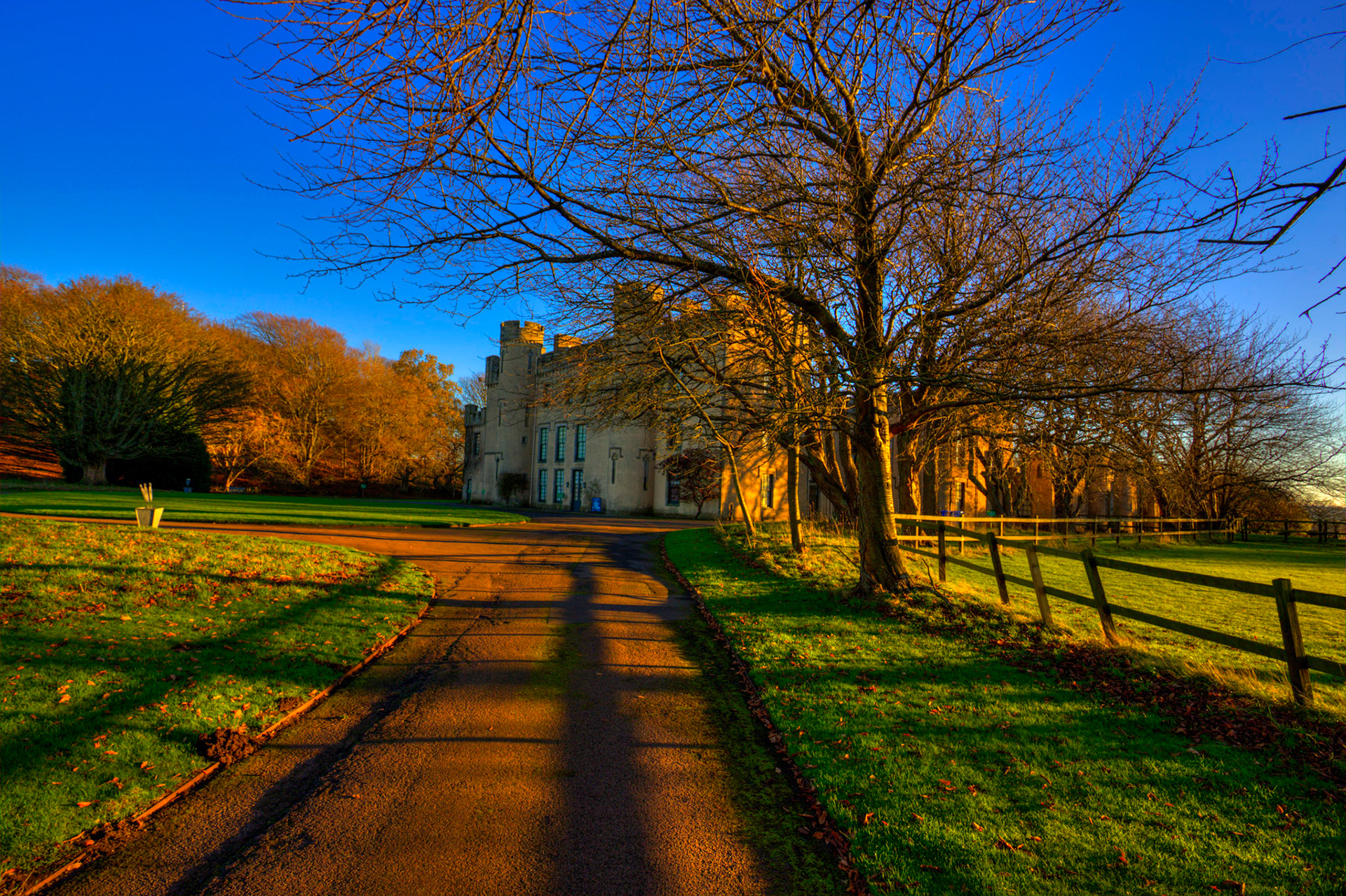 House of the Binns 30 November 2025