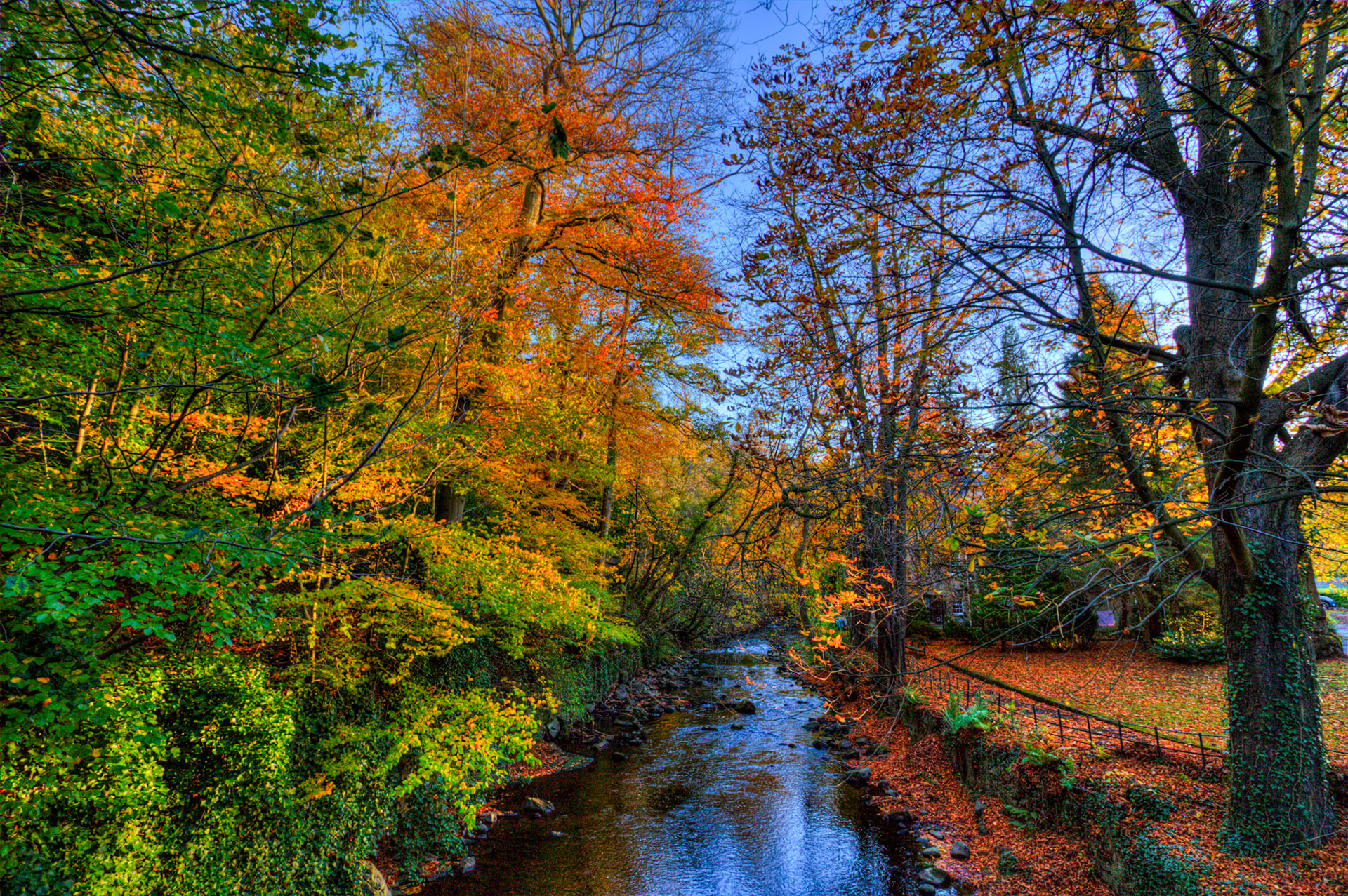 Water of Leith - Colinton 27 October 2025
