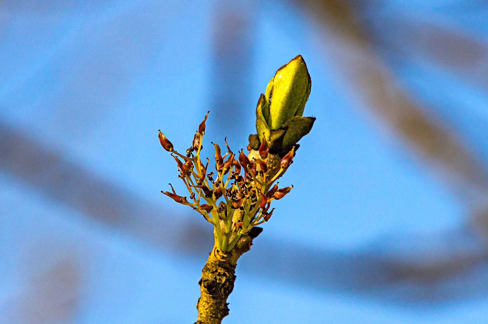 Braehead 02 May 2024