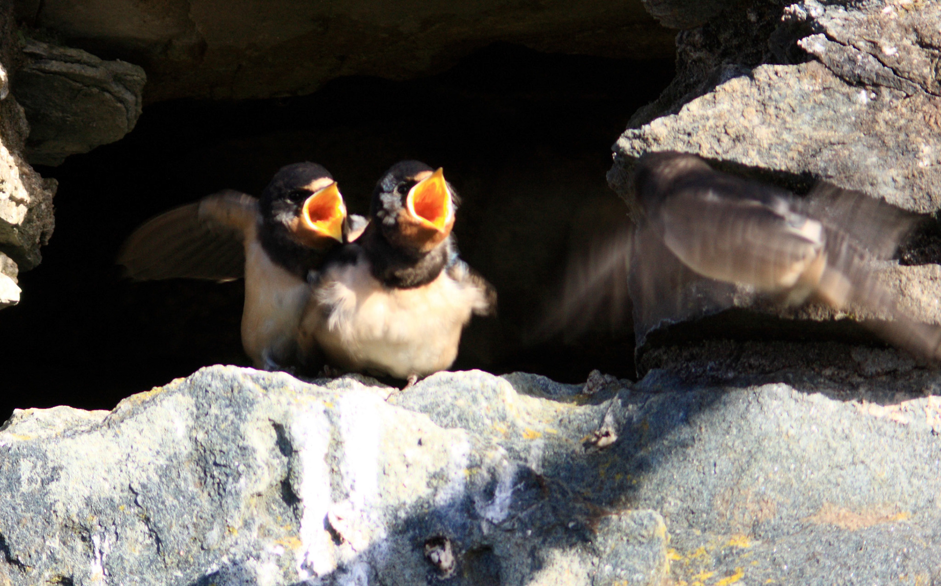 Kilchurn Castle Please see my other Photographs at: http://www.jamespdeans.co.uk/