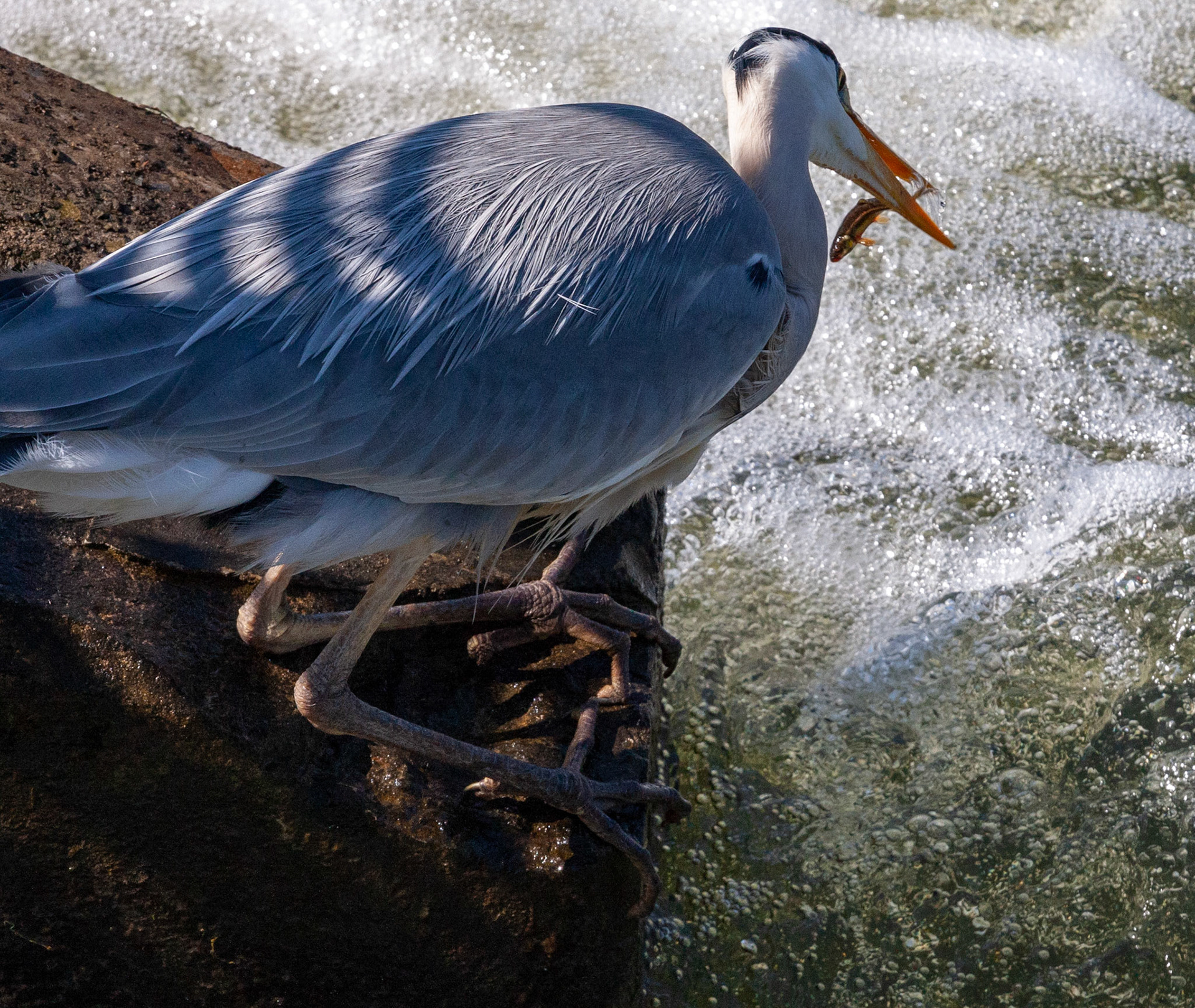 Durham 04 to  07 May 2018Please see my other Photographs at: www.jamespdeans.co.uk