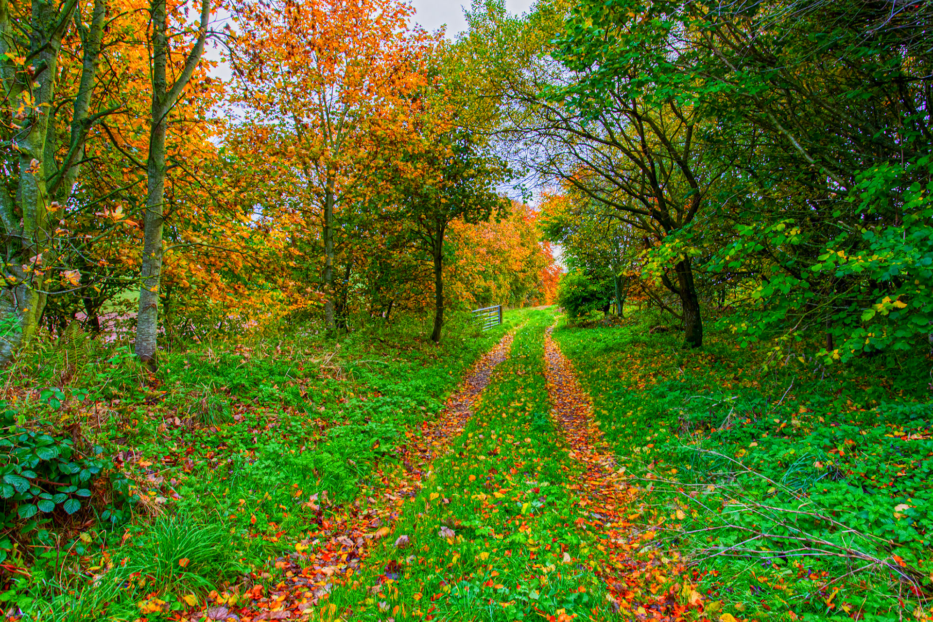 Morriston Borders 27 Oct 2022