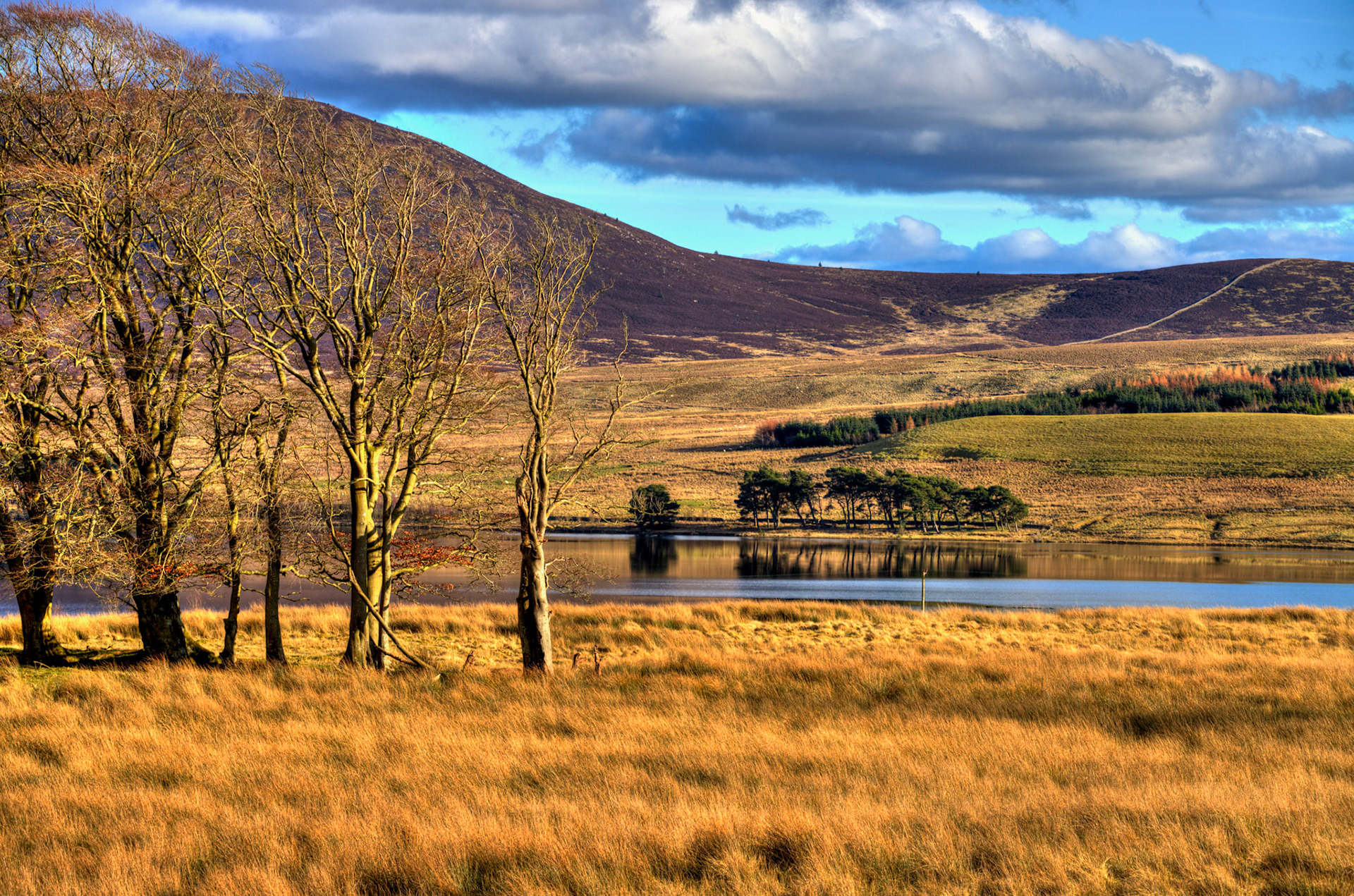 Harperrig Reservoir 26 Feb 2024
