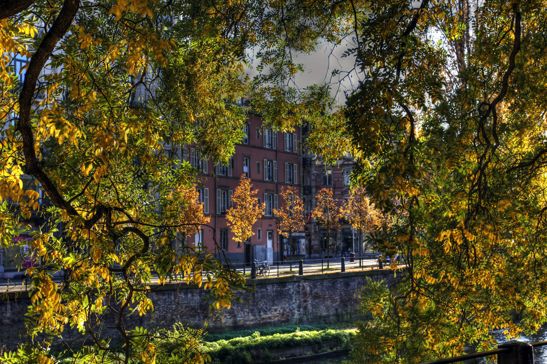 Strasbourg - buildings next to the Canal des Faux Remparts viewed through Autumnal trees. Please see my other Photographs at: http://www.jamespdeans.co.uk/