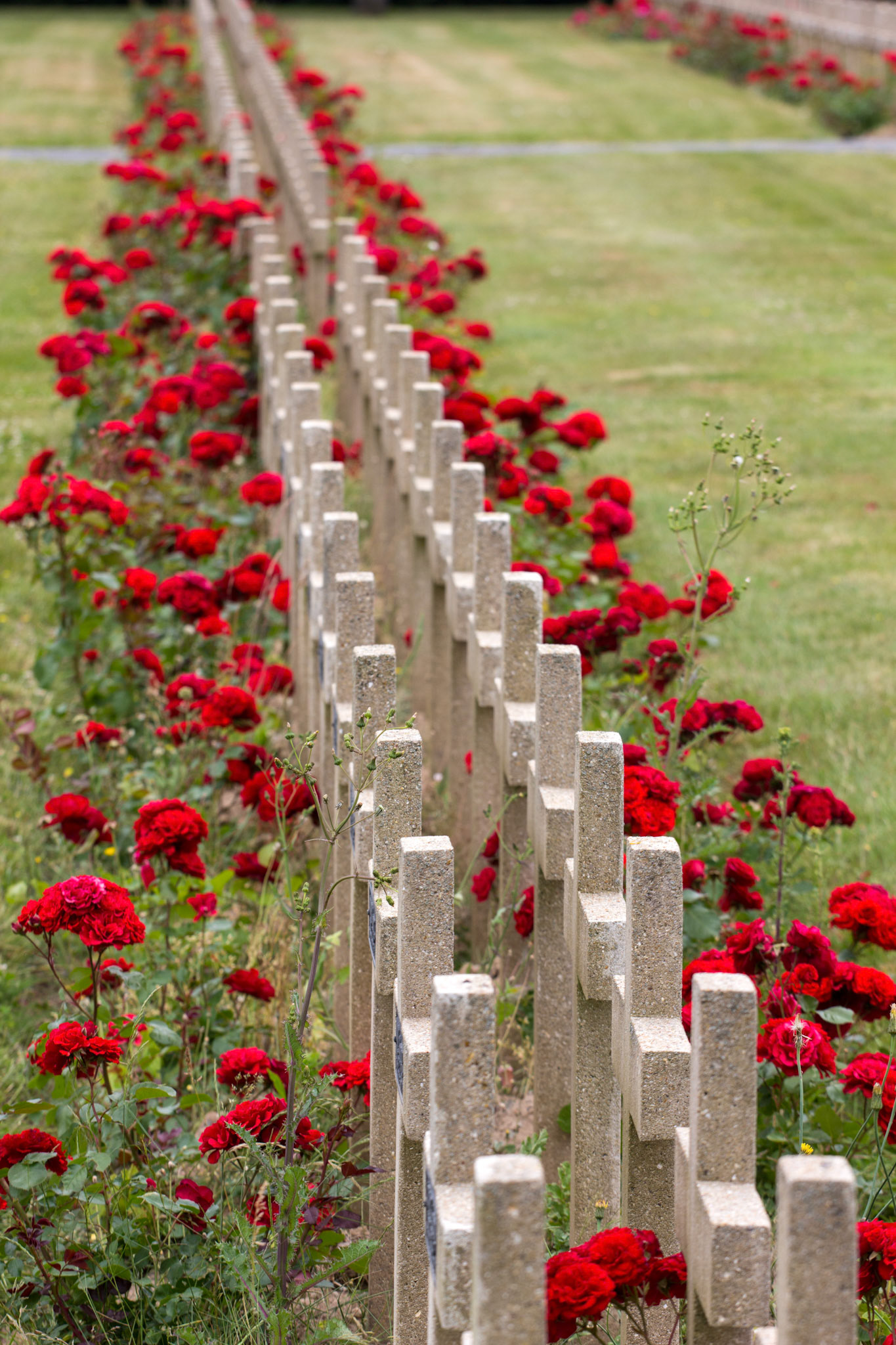 CernayPlease see my other Photographs at: http://www.jamespdeans.co.uk/