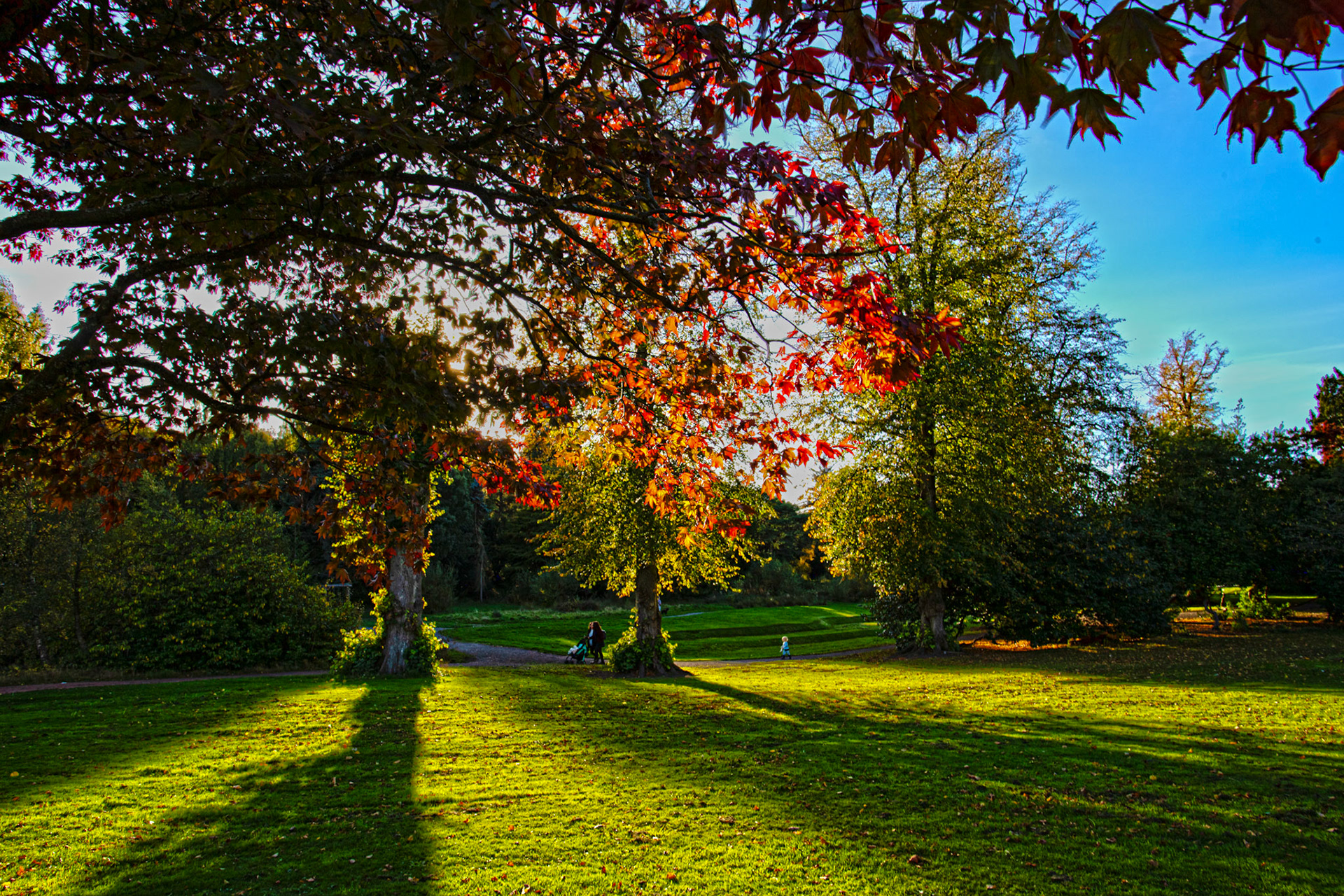 Callendar Park, Falkirk 11 October 2025