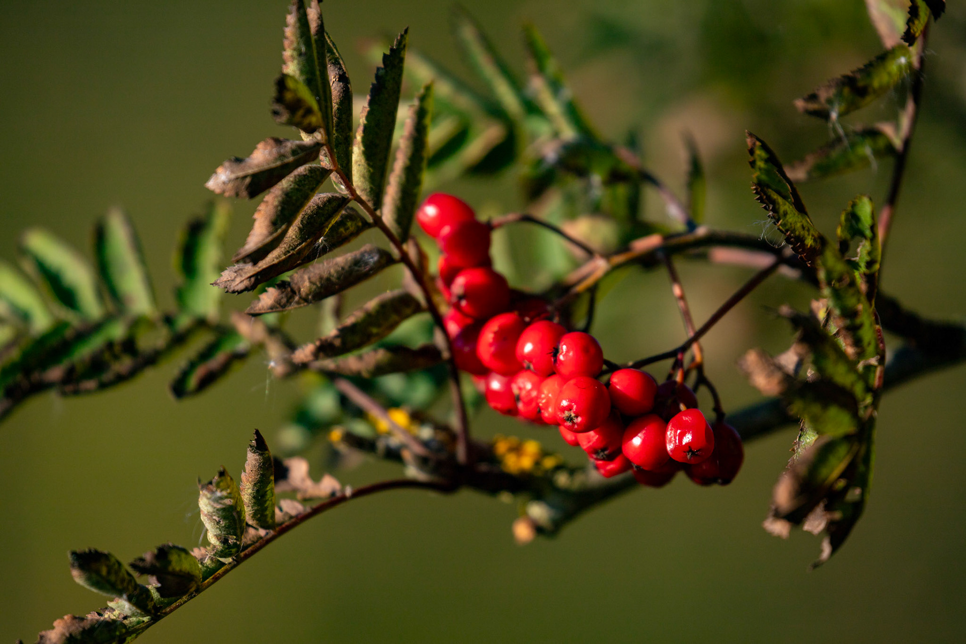 Harperrig Reservoir 17 September 2024