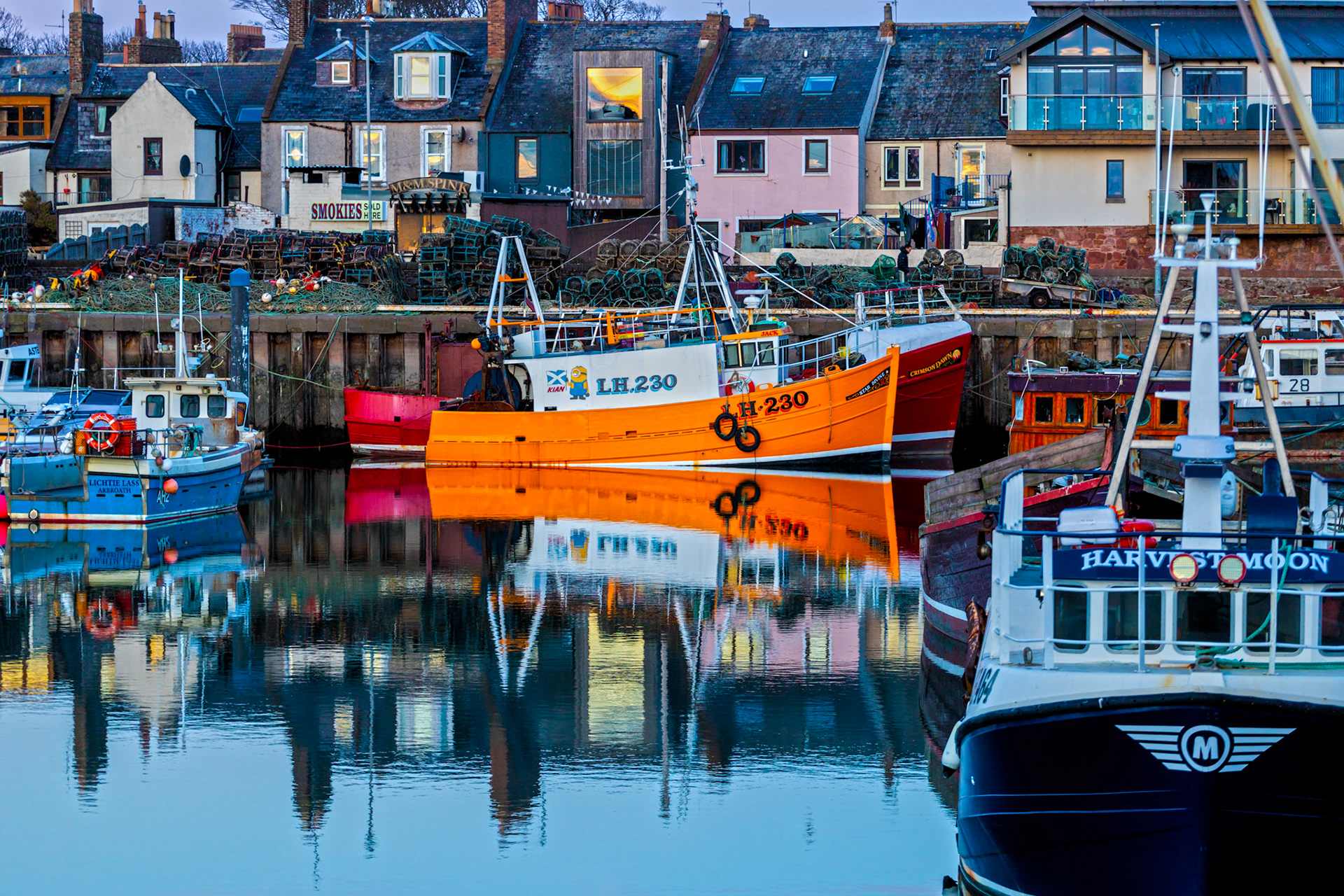 Fishing Boats at Arbroath 08 February 2024