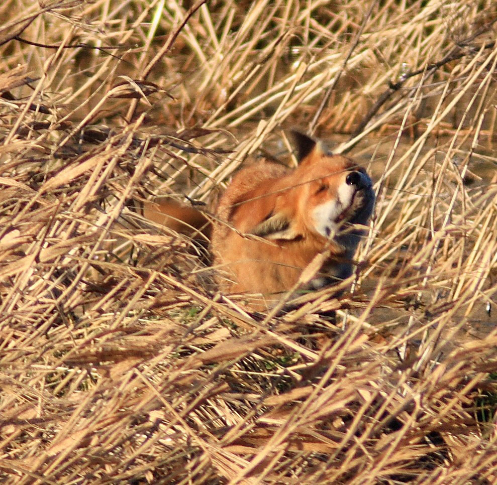 Vane FarmPlease see my other Photographs at: http://www.jamespdeans.co.uk/