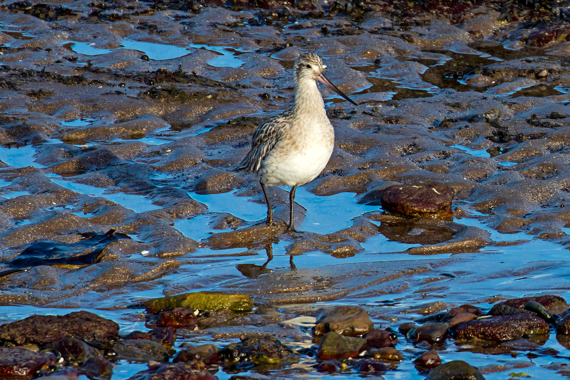 Port Seton 18 November 2024