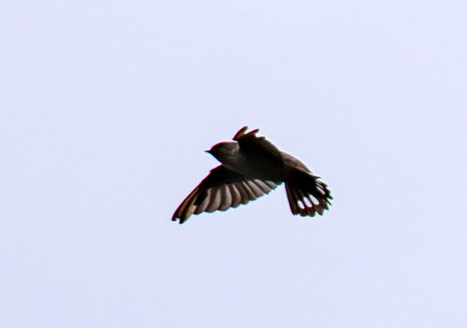 Crag Martin Lixa 26 August 2026