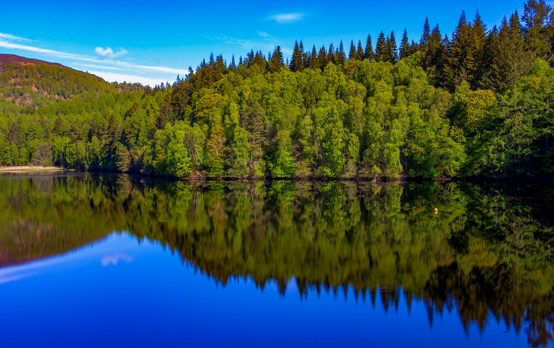 Loch Faskally - View from Clunie Bridge 16 May 2026 15.jpg