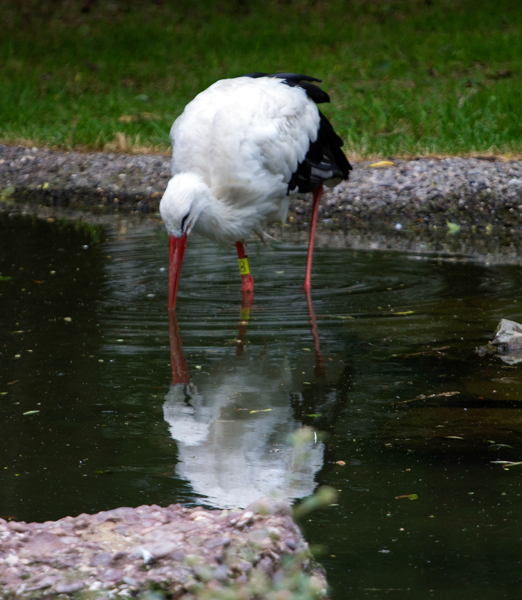 CernayPlease see my other Photographs at: http://www.jamespdeans.co.uk/