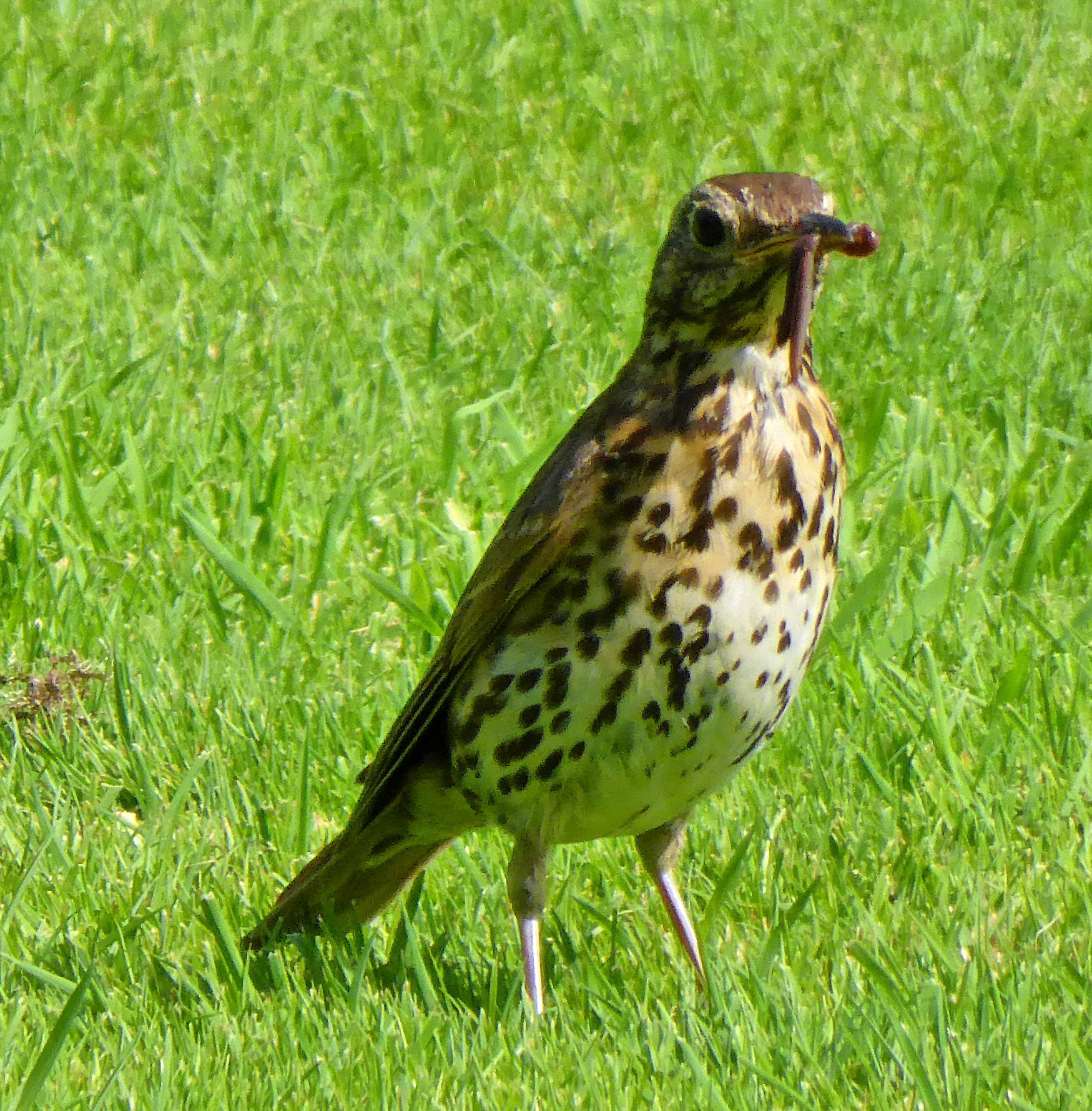 KeswickPlease see my other Photographs at: http://www.jamespdeans.co.uk/
