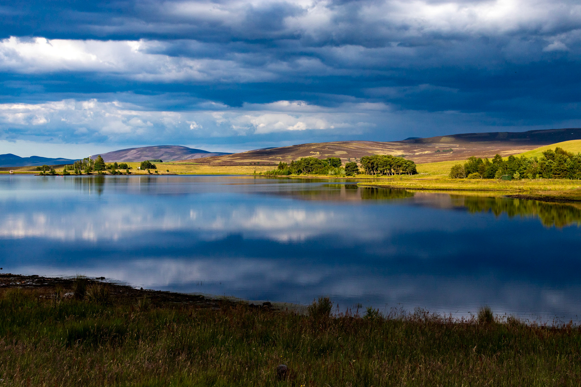 Harperrig 08 July 2024