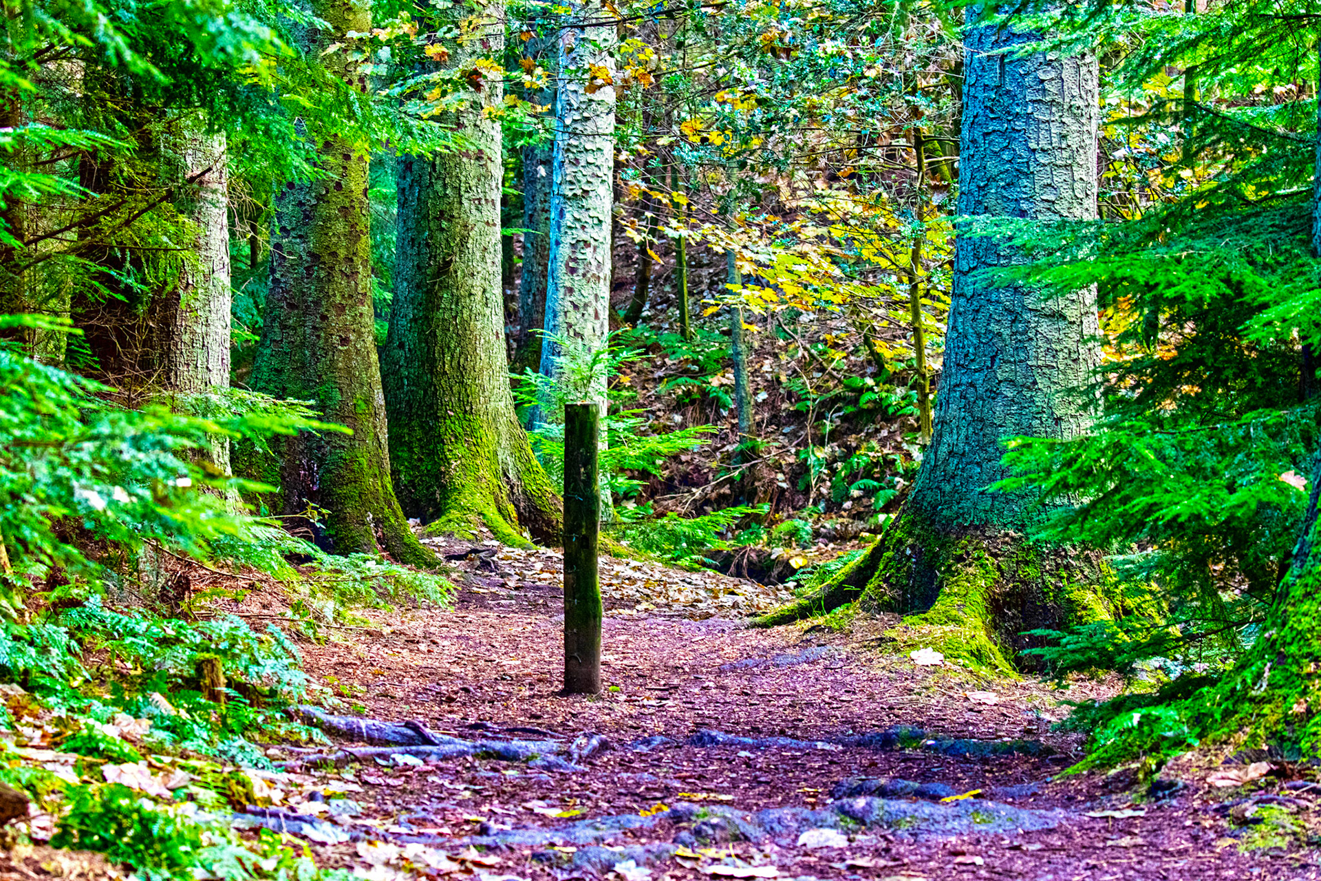 Beecraigs 24 September 2024