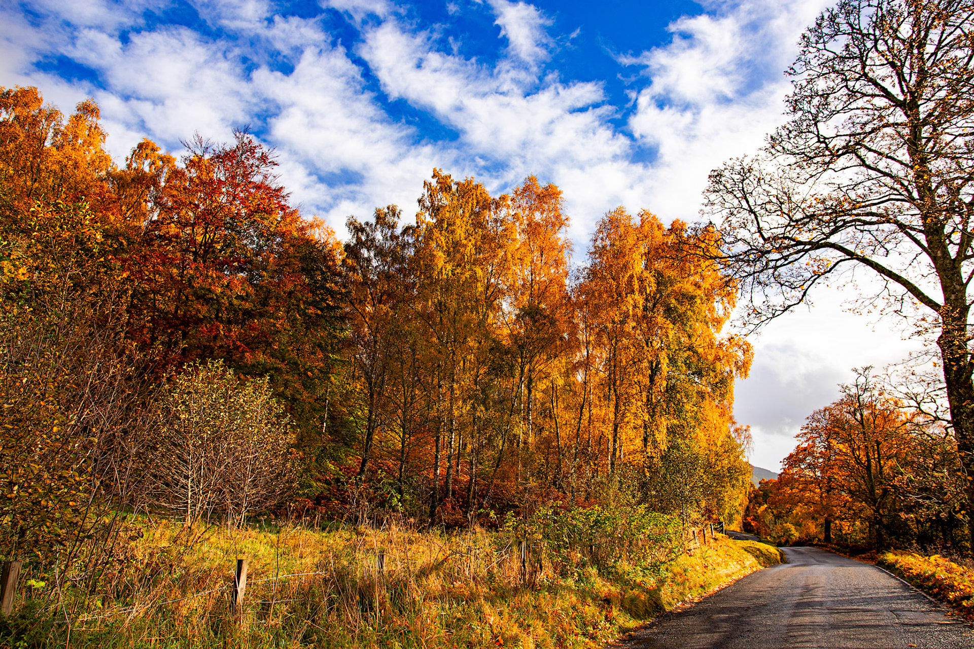 Autumnal Tour around Perthshire 19 October 2024