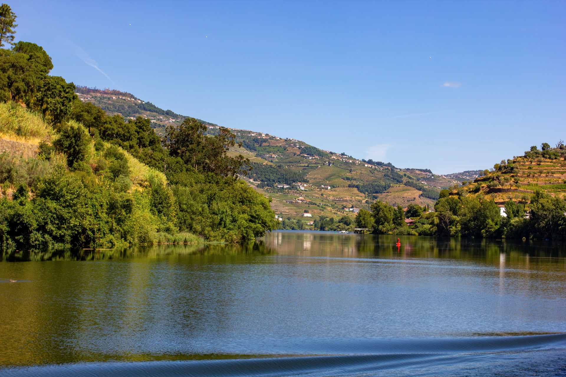 Douro cruise 21 August 2026
