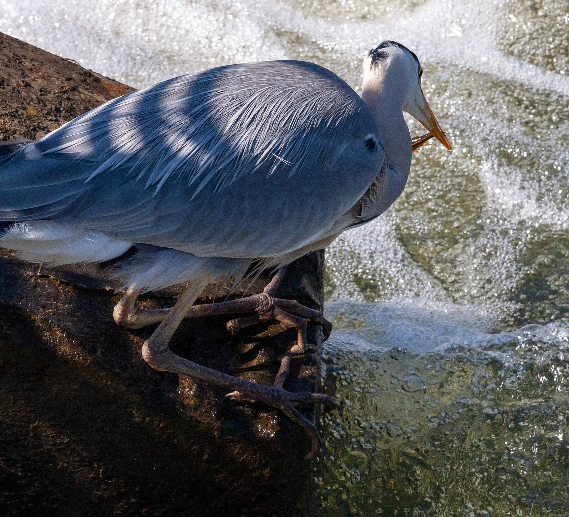 Durham 04 to  07 May 2018Please see my other Photographs at: www.jamespdeans.co.uk