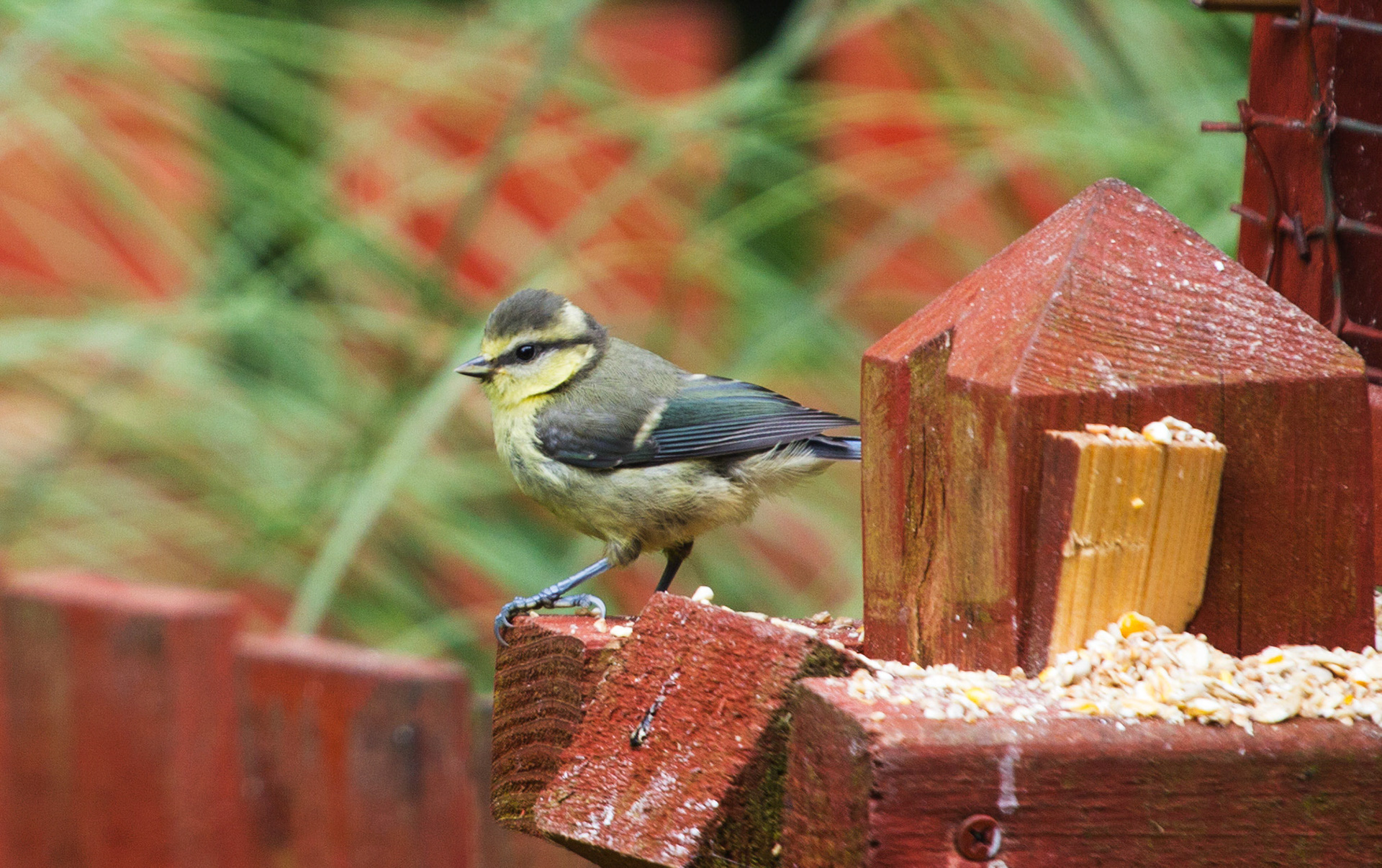 Deans, LivingstonPlease see my other Photographs at: http://www.jamespdeans.co.uk/