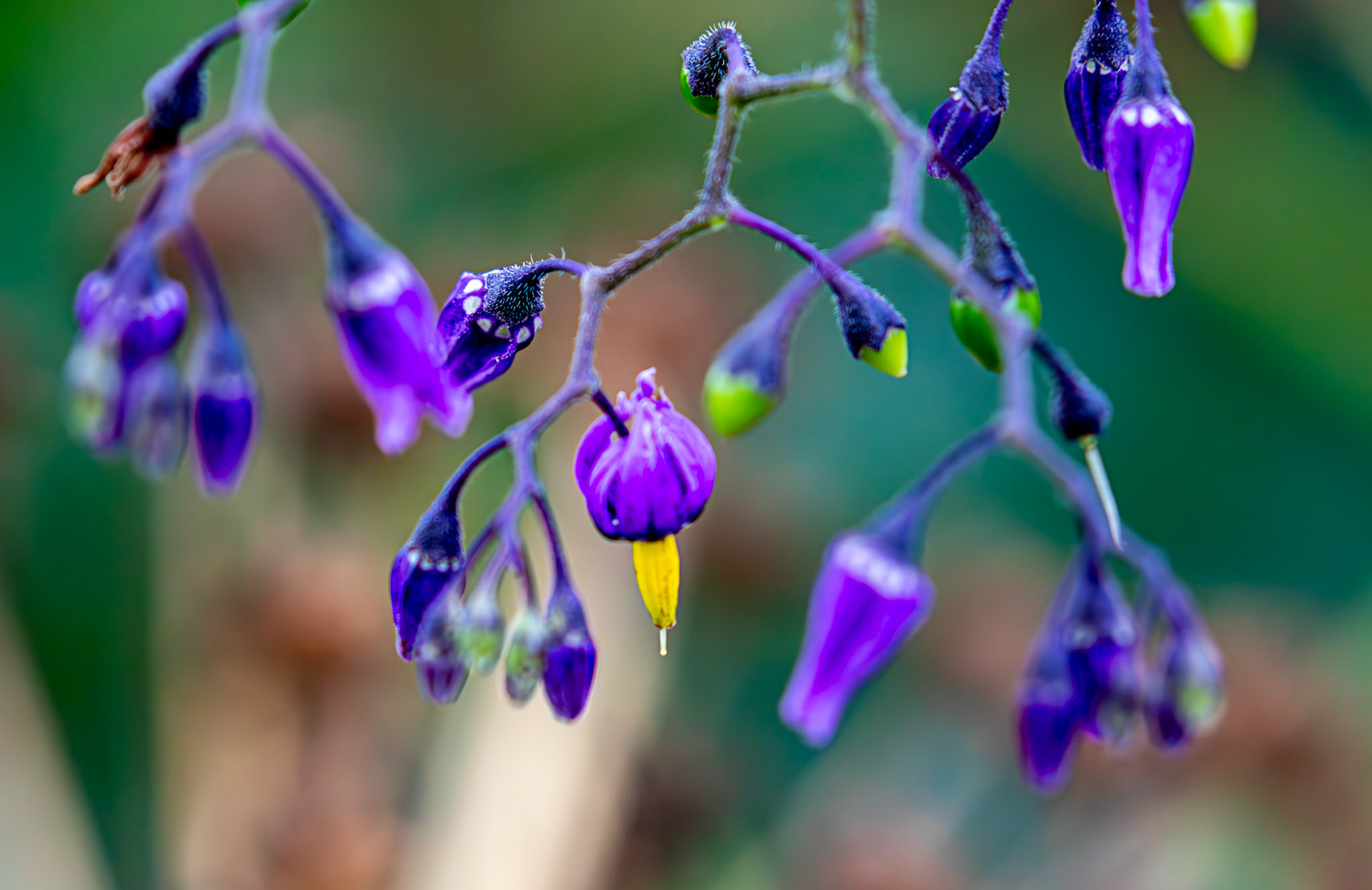 River Itchen Mansbridge 26 July 2025