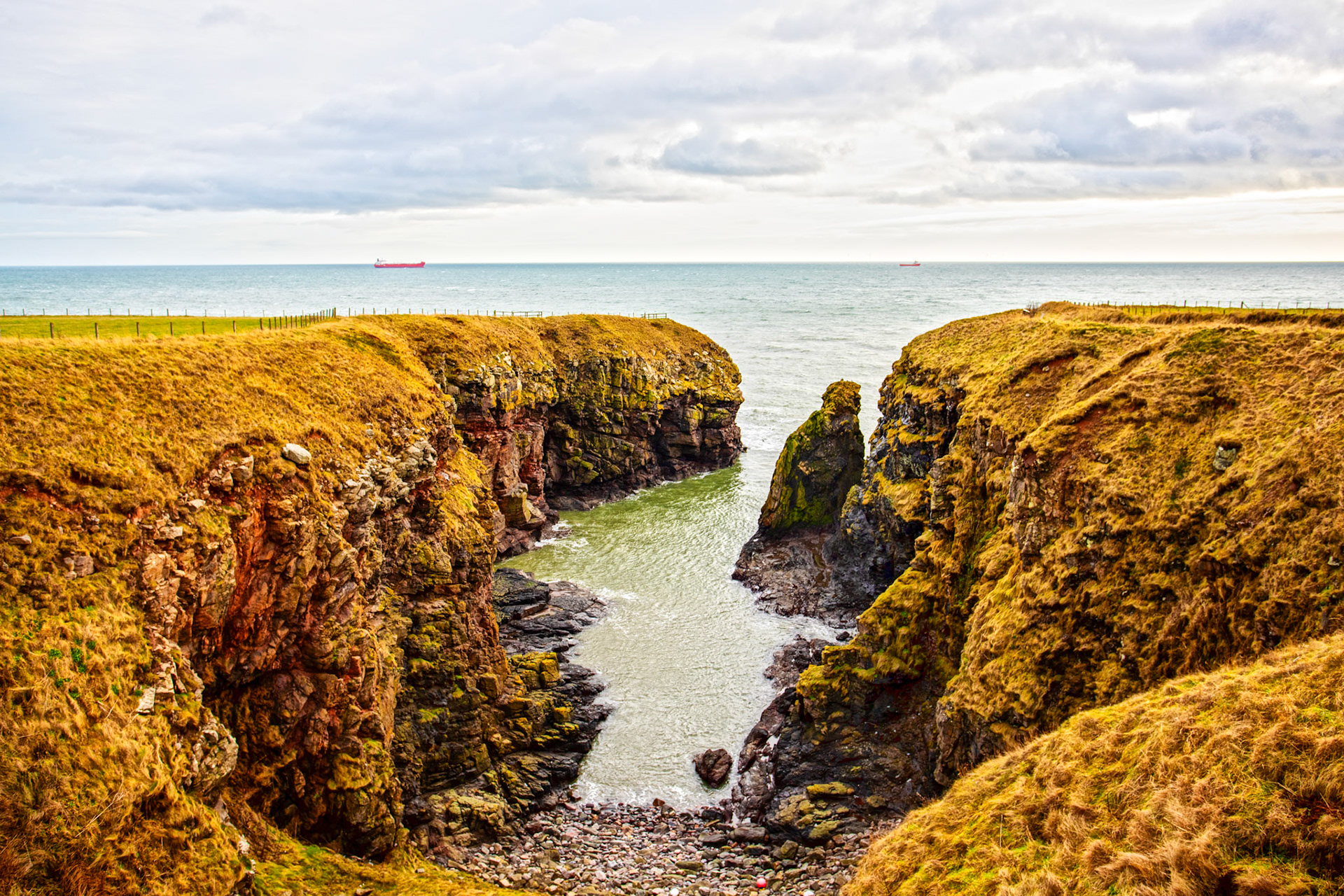 Long Slough - Walk Cove to Aberdeen 27 January 2024