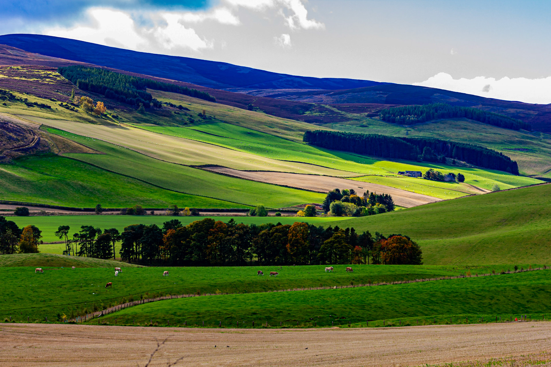 Autumn in Aberdeenshire 14 to 16 October 2022