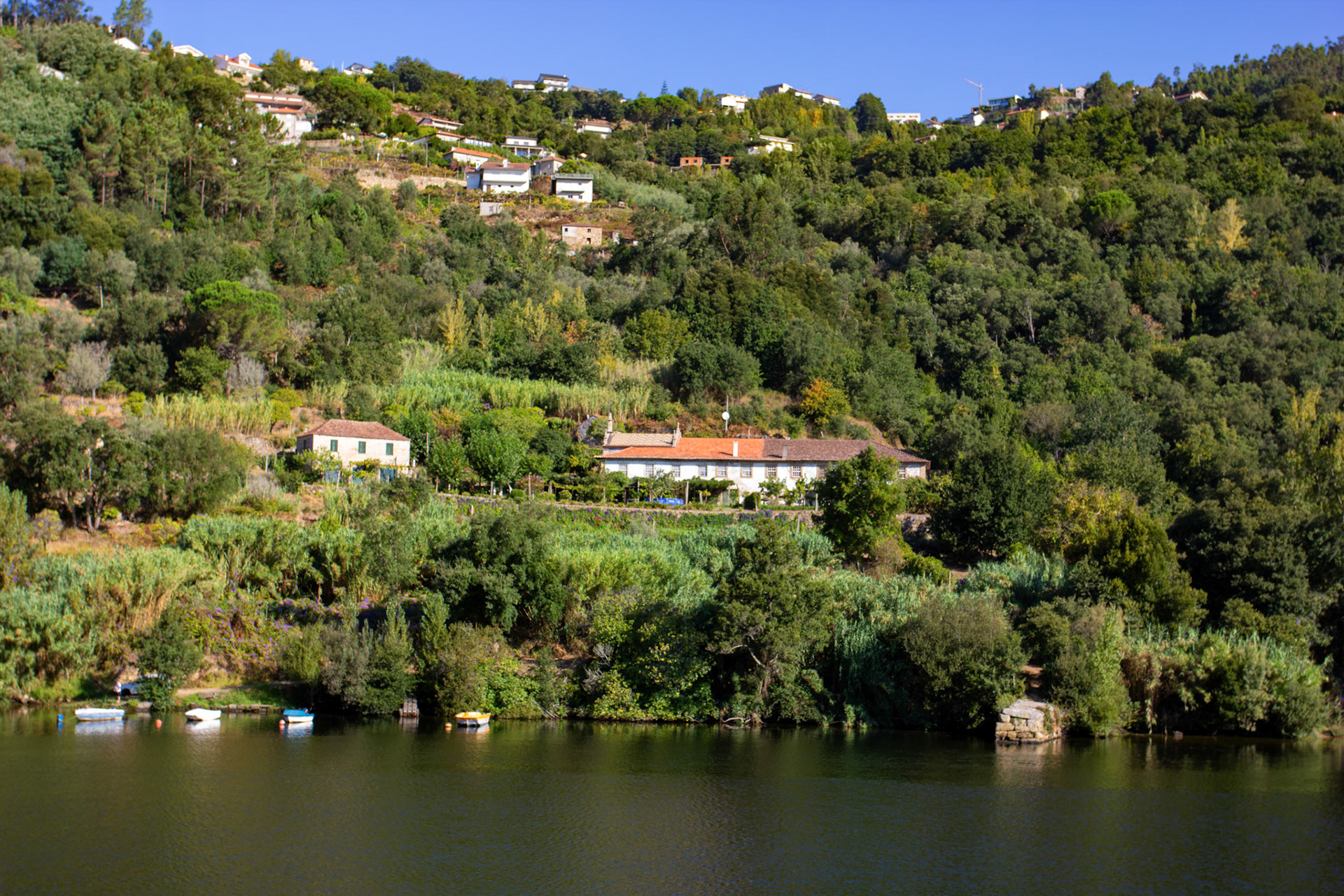 Douro cruise 21 August 2026