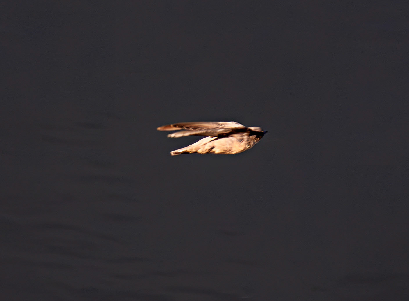 Crag Martin - Barca de Alva 22 August 2026