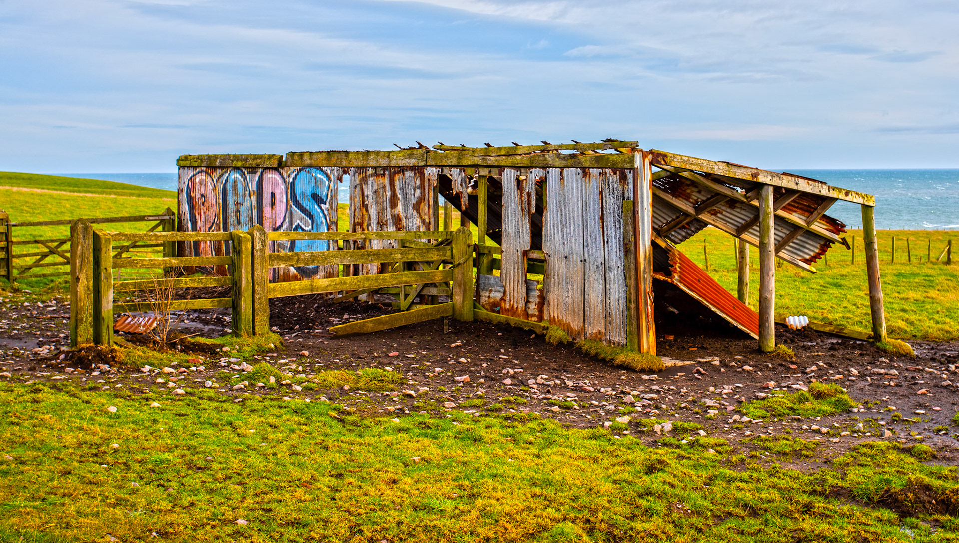 Doonies - Aberdeen 27 January 2024