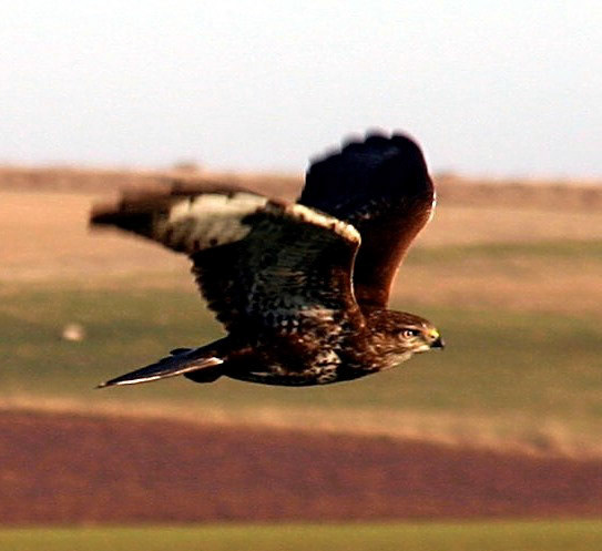 YthanPlease see my other Photographs at: http://www.jamespdeans.co.uk/