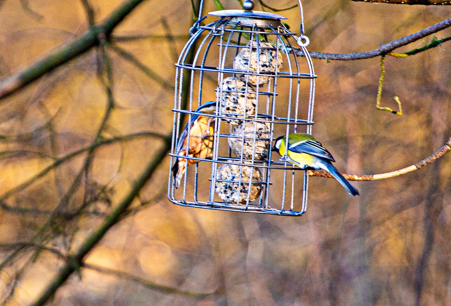 Korean War Memorial 18 January 2024