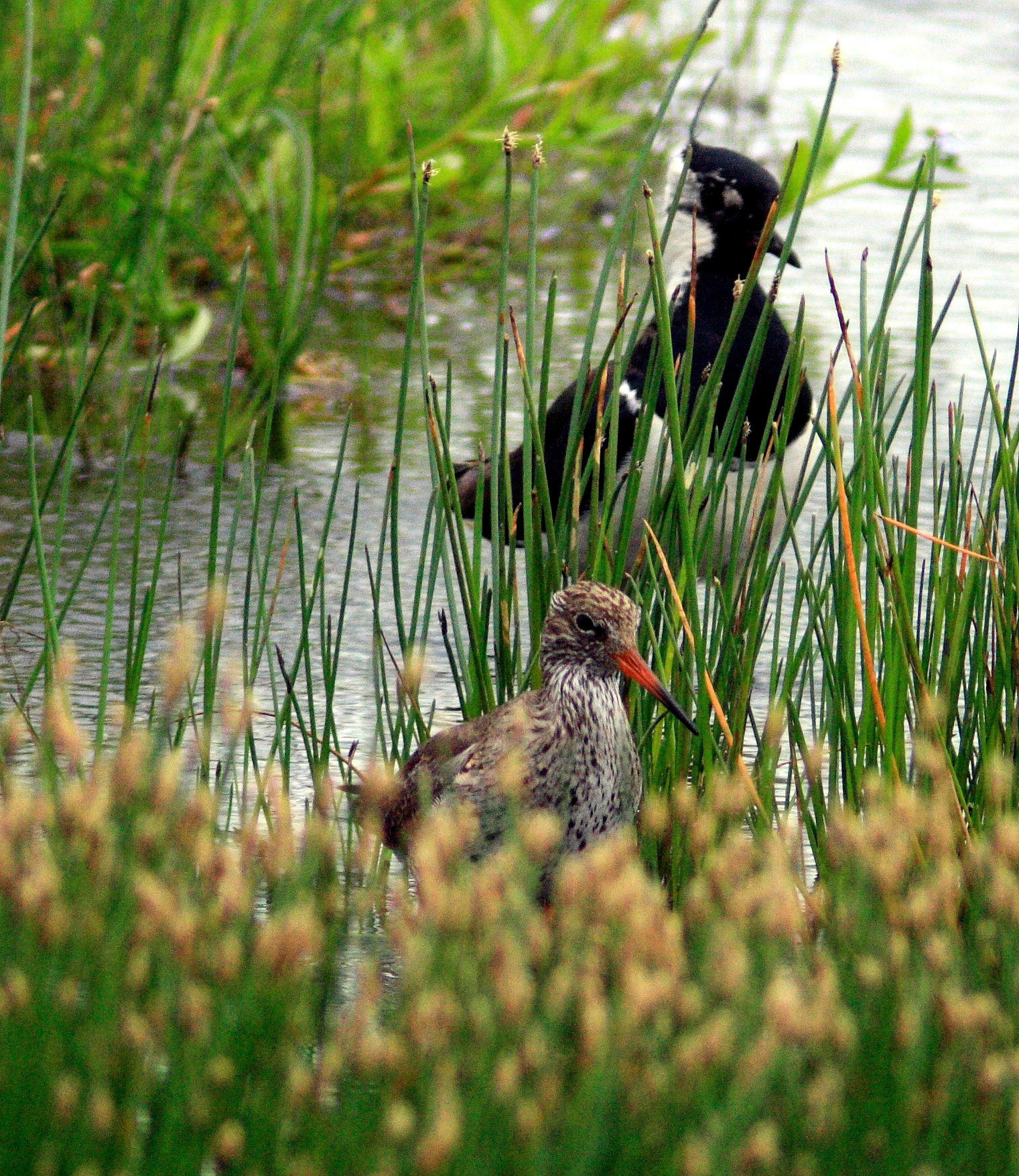 Vane FarmPlease see my other Photographs at: http://www.jamespdeans.co.uk/