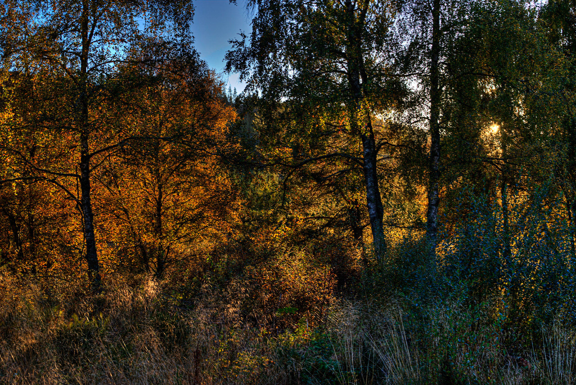 Autumn in Aberdeenshire 14 to 16 October 2022