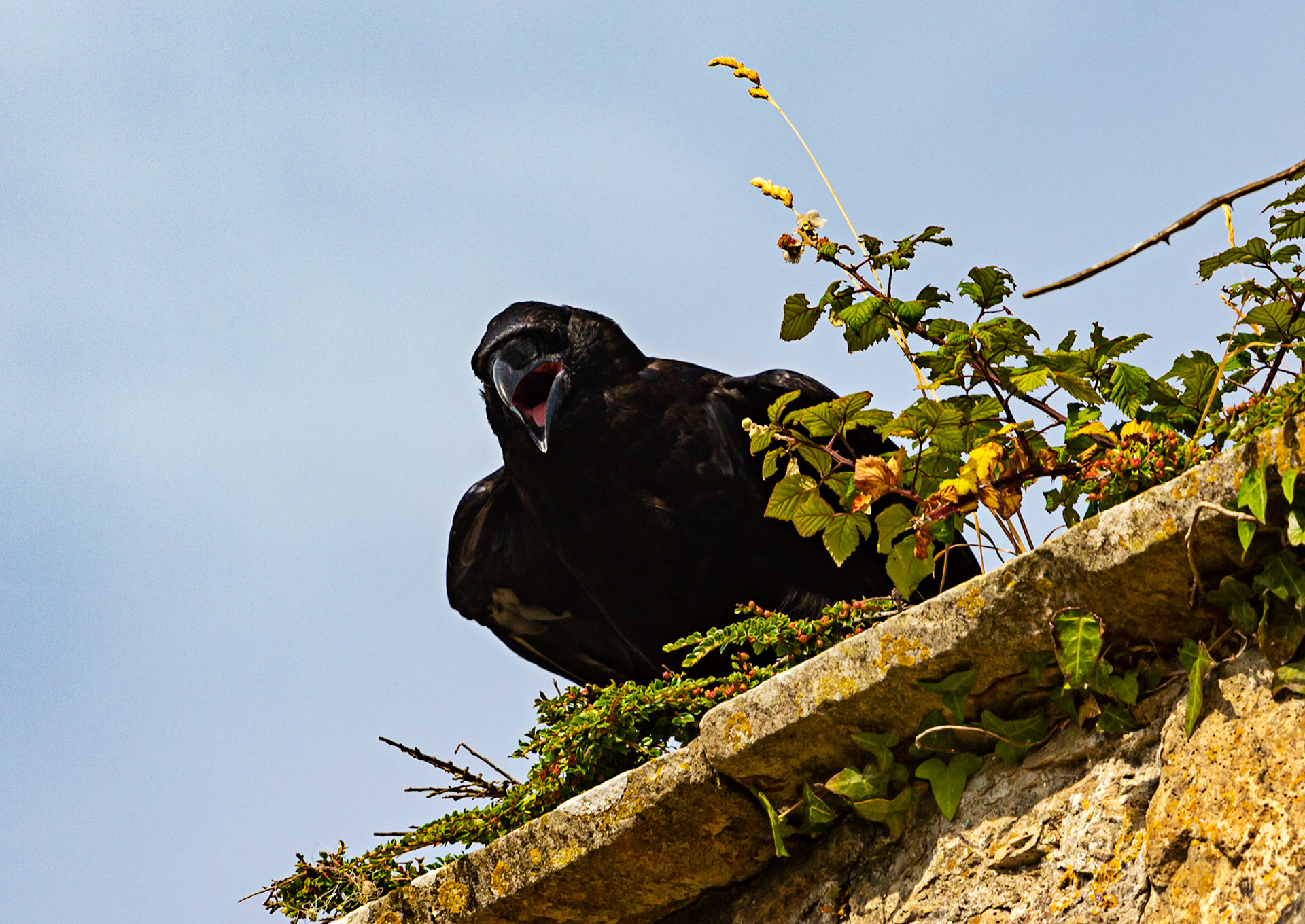 Old St Helen's Church Duver IOW 16 July 2022