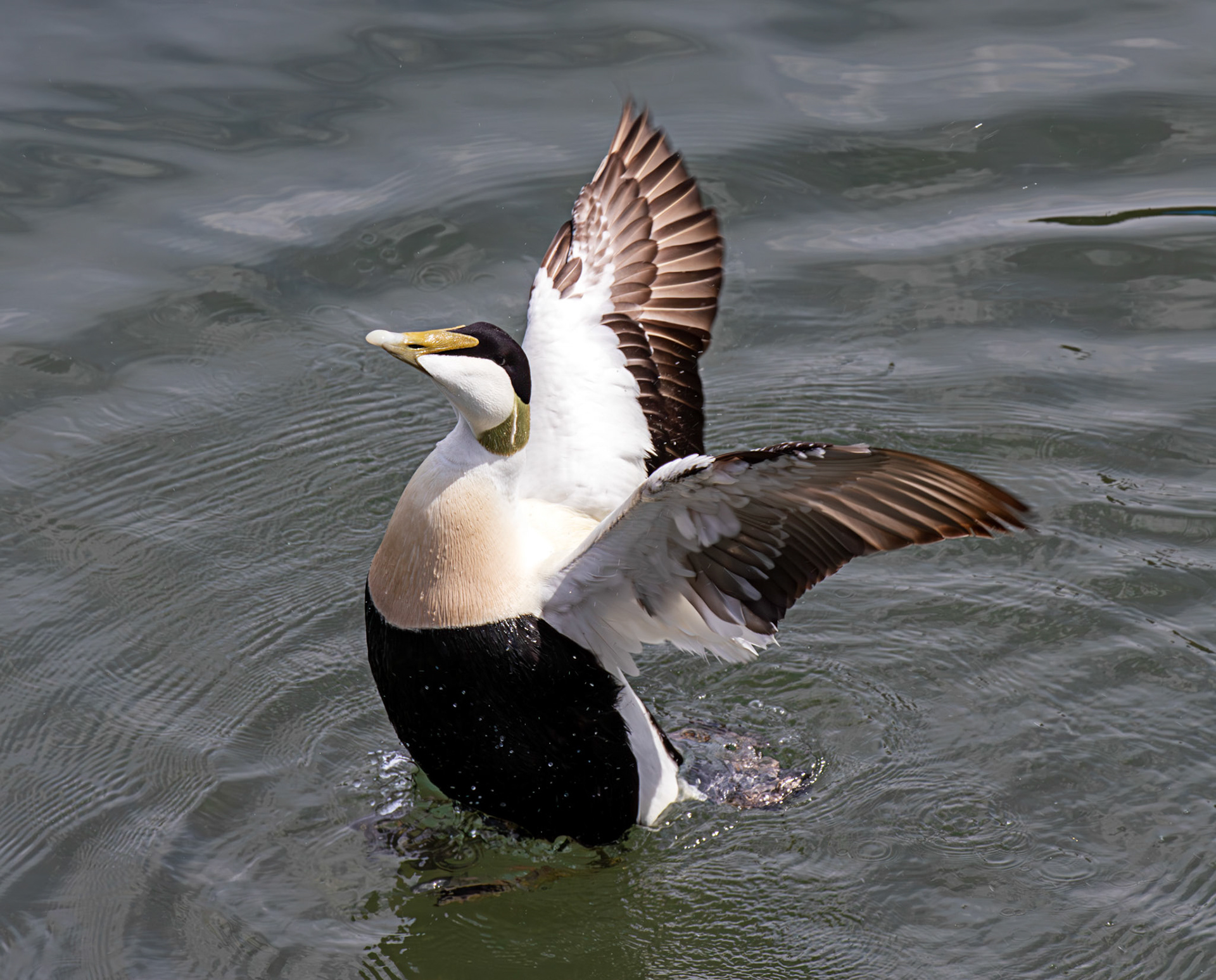 Kirkcaldy Harbour 23 May 2026
