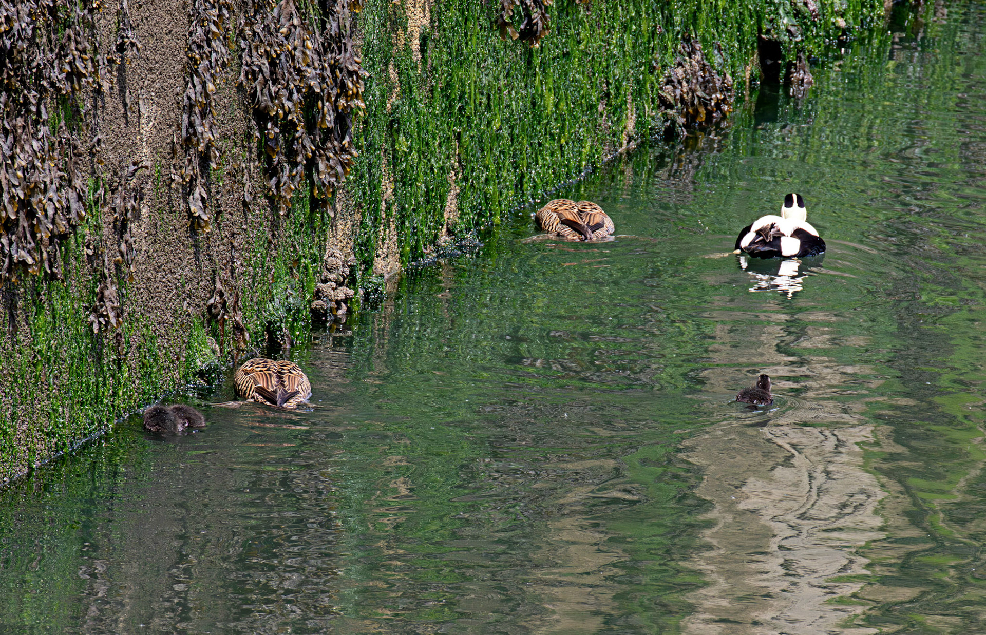 Kirkcaldy Harbour 23 May 2026