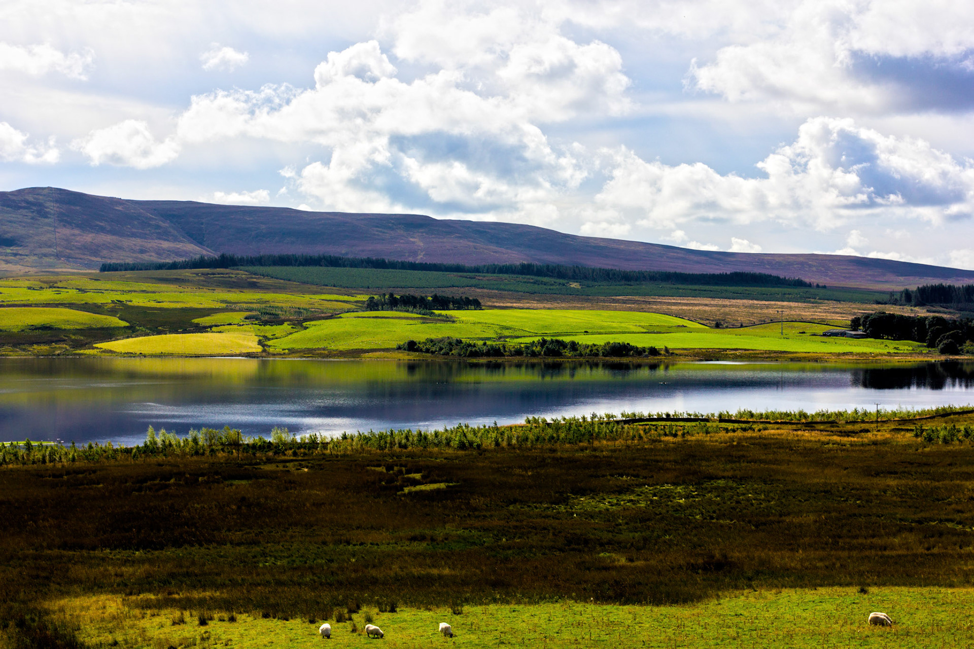 West Cairn Hill in the Pentland Hills. The water is Harperrig Reservoir. Viewed from the Lang Whang (A70) at Harperrig Reservoir. Please see my other Photographs at: http://www.jamespdeans.co.uk
