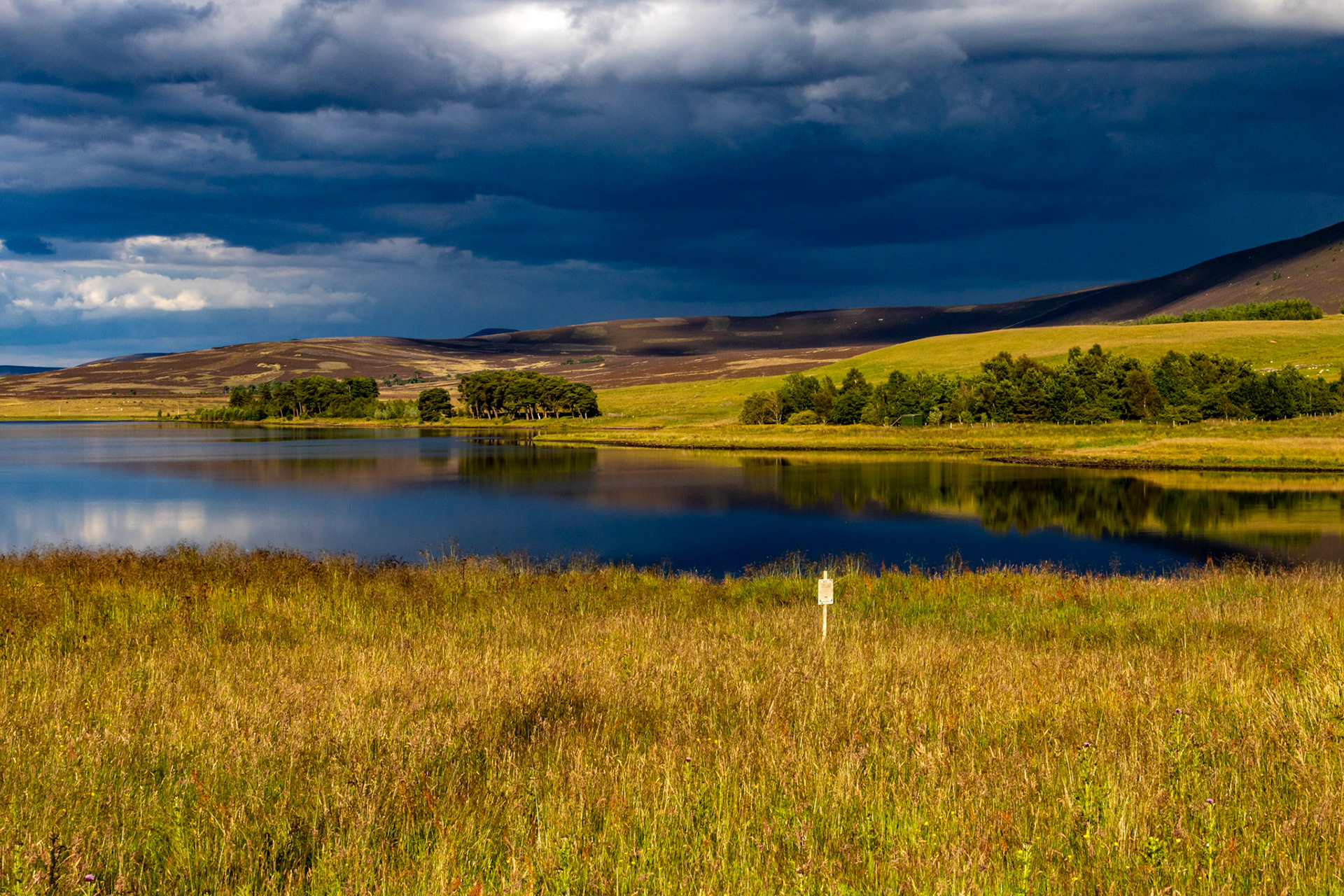 Harperrig 08 July 2024