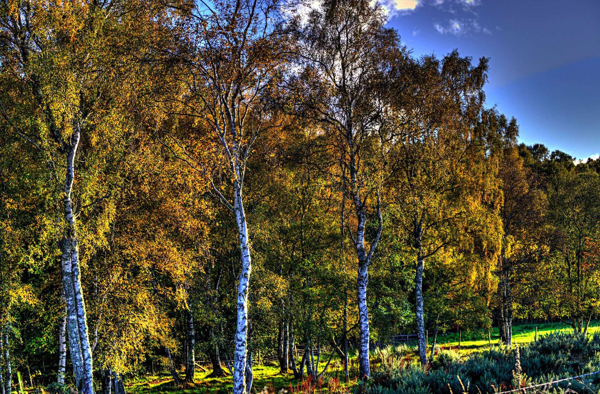 Autumn in Aberdeenshire 14 to 16 October 2022