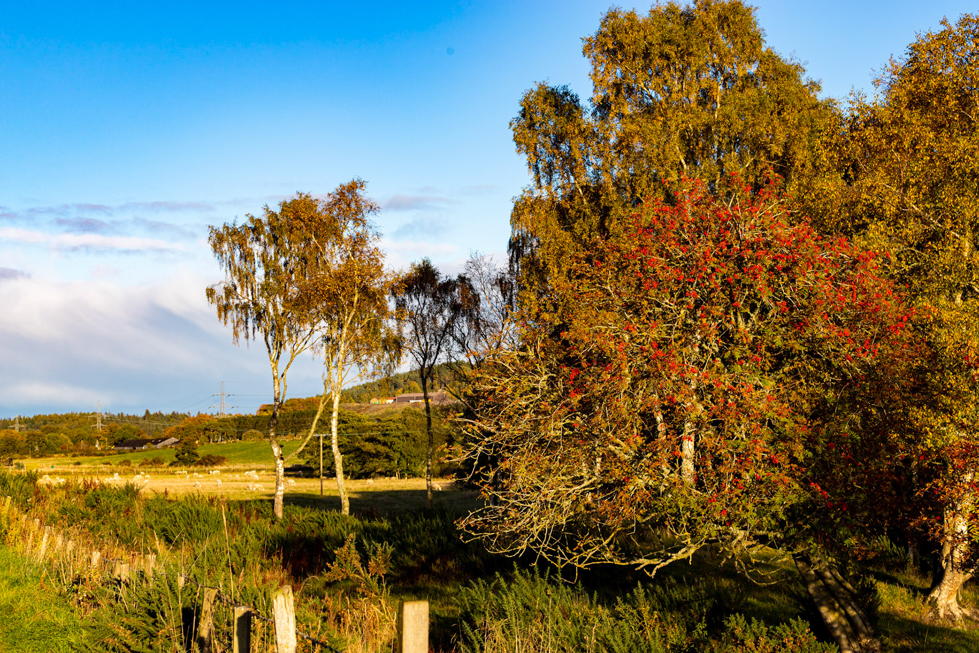 Autumn in Aberdeenshire 14 to 16 October 2022