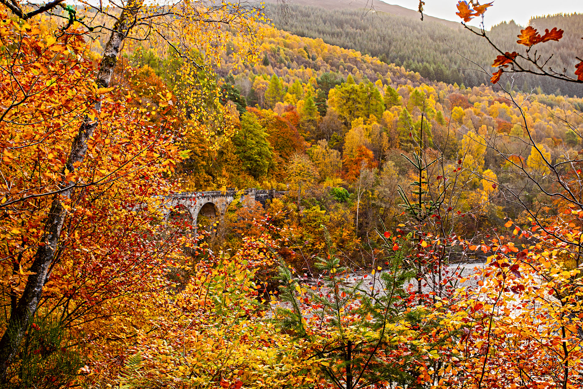 Killiecrankie. Autumnal Tour around Perthshire 19 October 2024