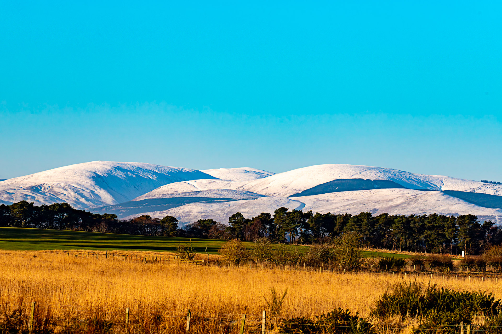 View to Ochils from near Scotlandwell 08 January 2025