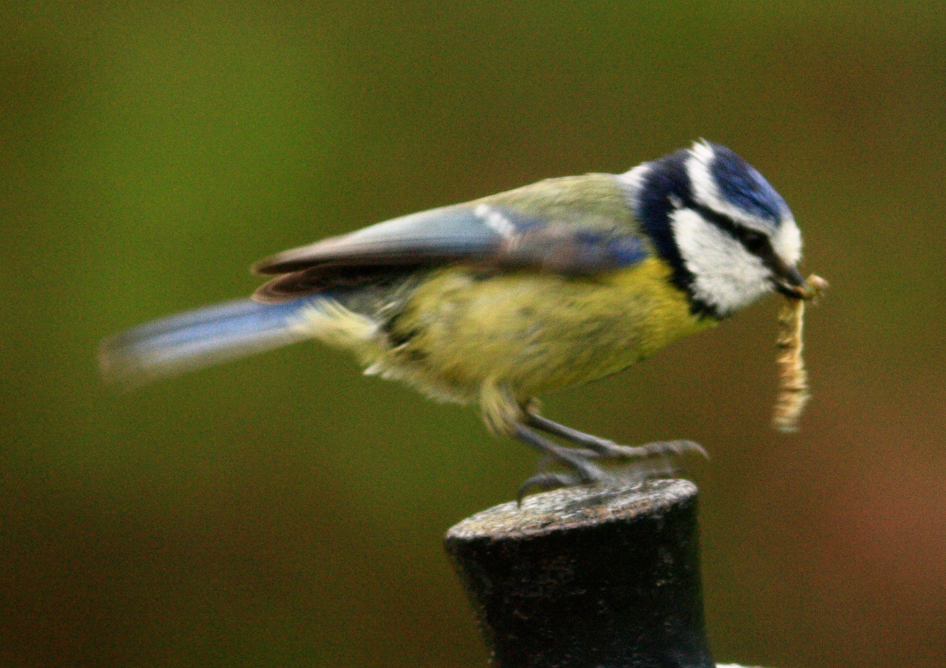 Castle CampbellPlease see my other Photographs at: http://www.jamespdeans.co.uk/