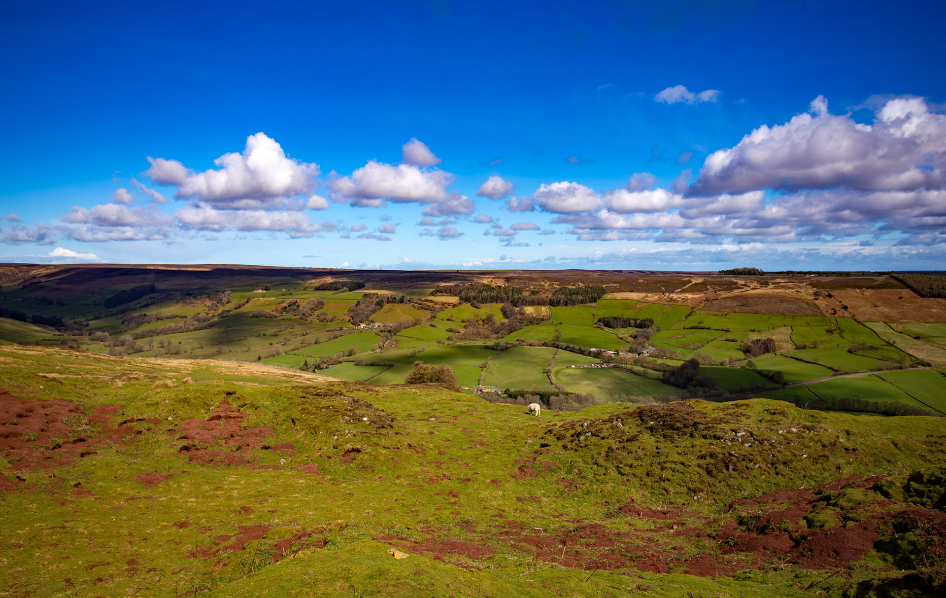 Chimney Bank - North York Moors 25 March 2026