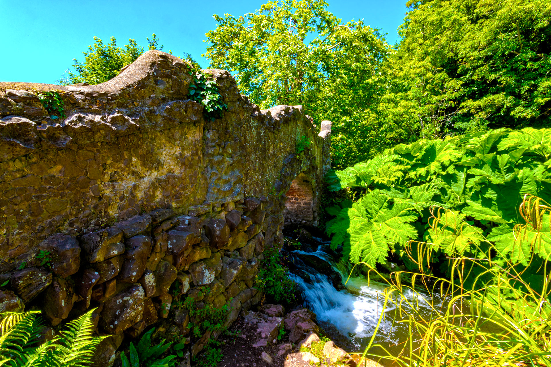 Dunster 22 June 2023