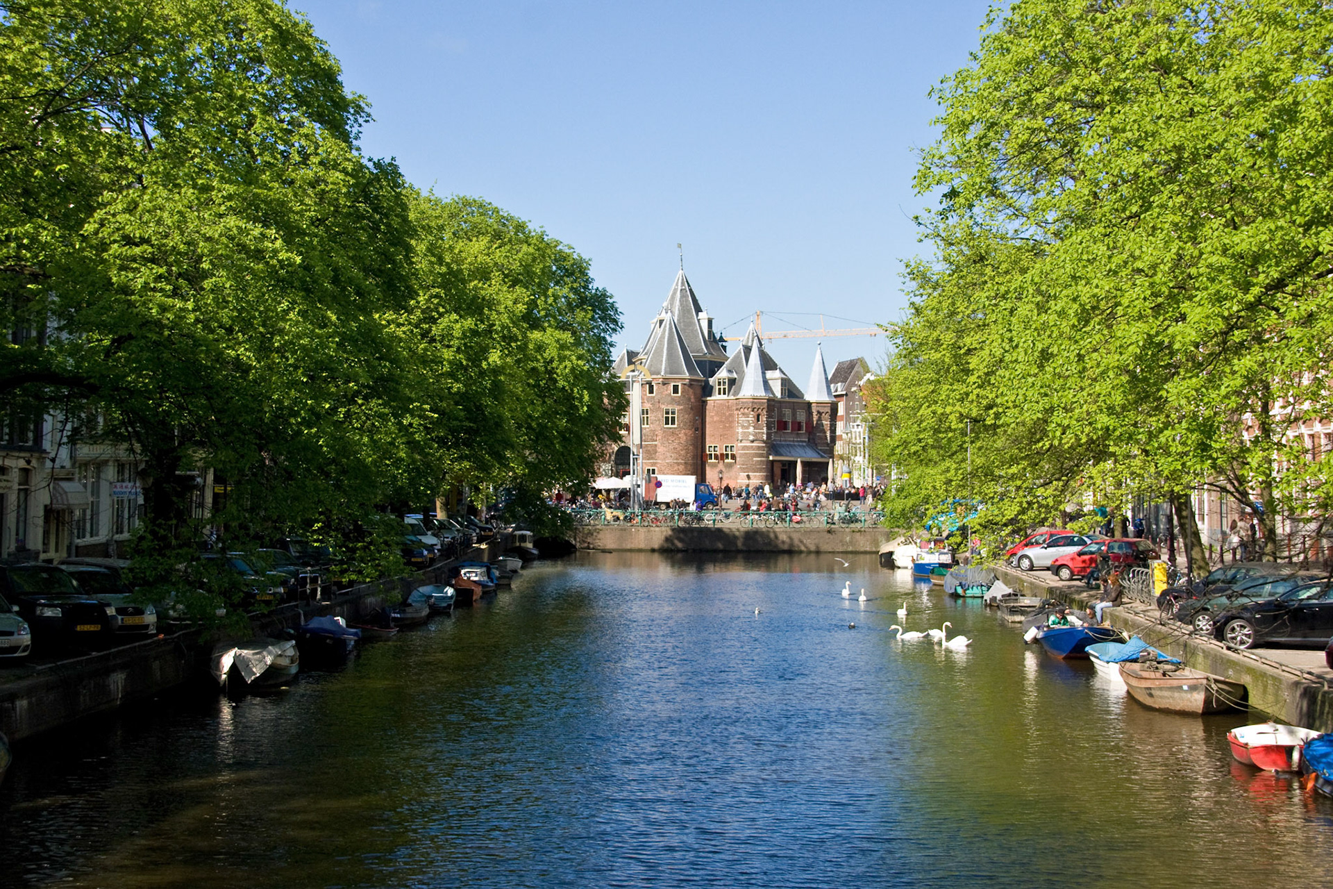 Mute SwansPlease see my other Photographs at: http://www.jamespdeans.co.uk/