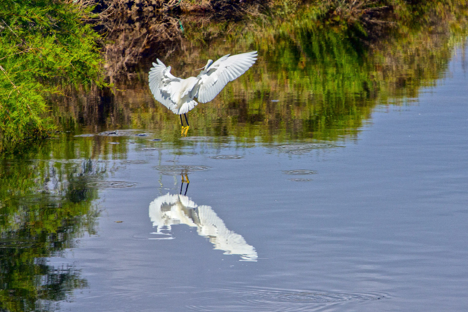 AlcudiaPlease see my other Photographs at: www.jamespdeans.co.uk