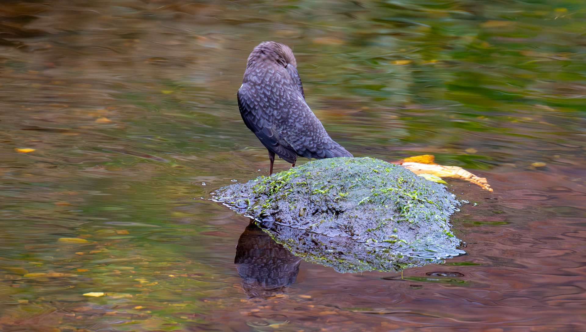 Largs 08 October 2024