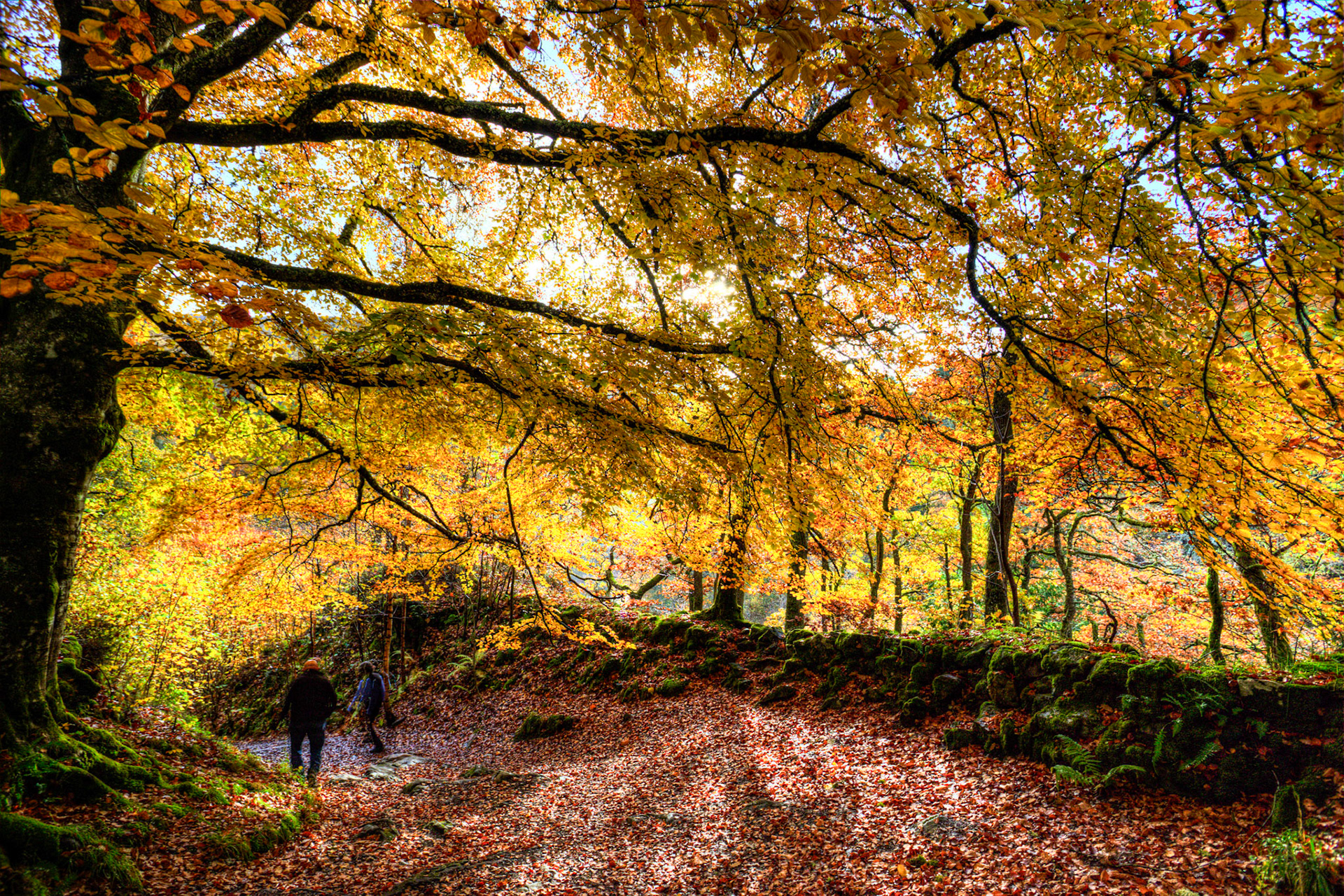 Killiecrankie. Autumnal Tour around Perthshire 19 October 2024